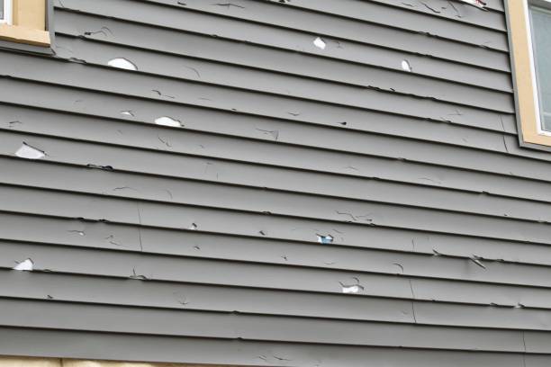 Best Siding Painting and Refinishing  in Oakhurst, NJ